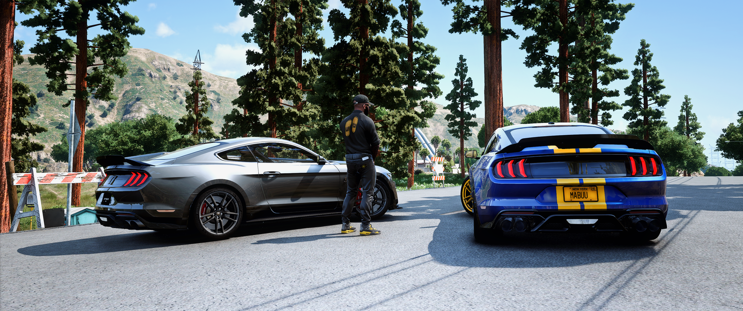 (Debadged/Regular) Ford Mustang Shelby GT500 2019