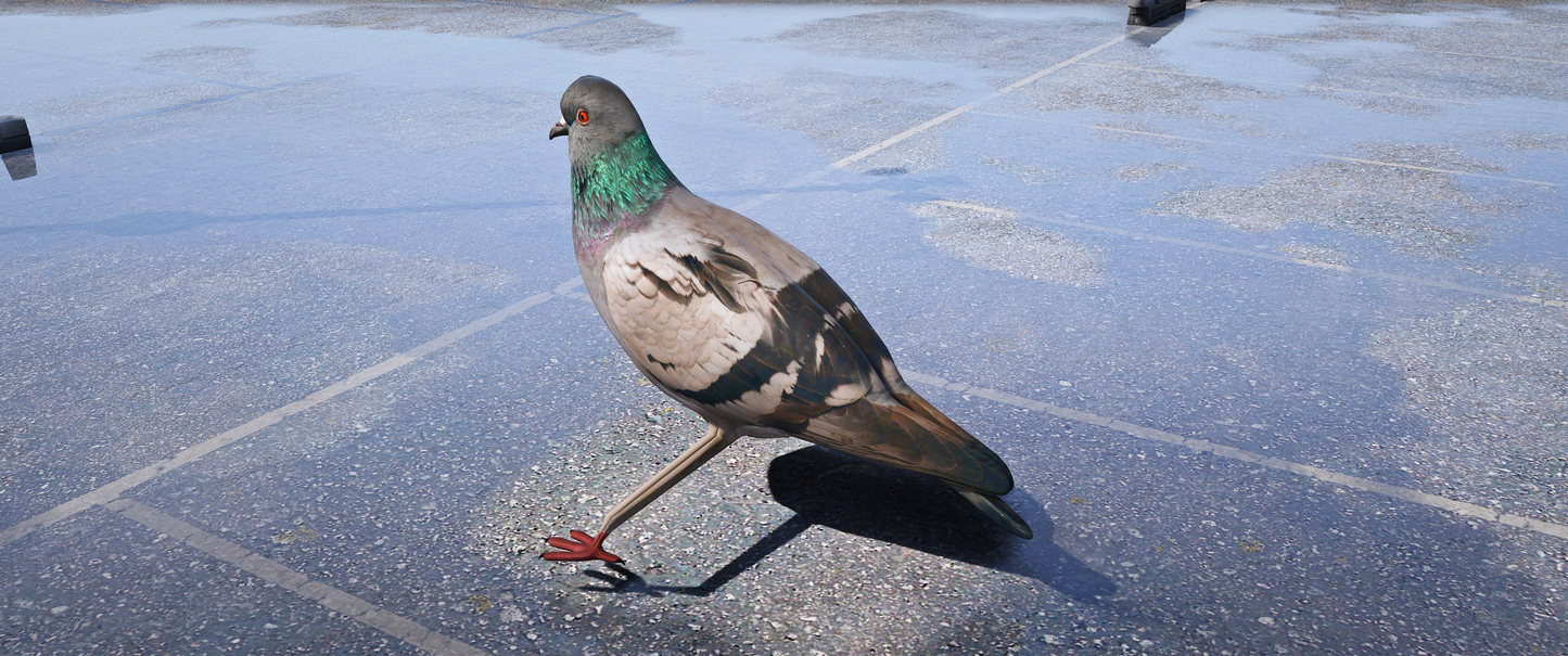(Lore Friendly) Pigeon