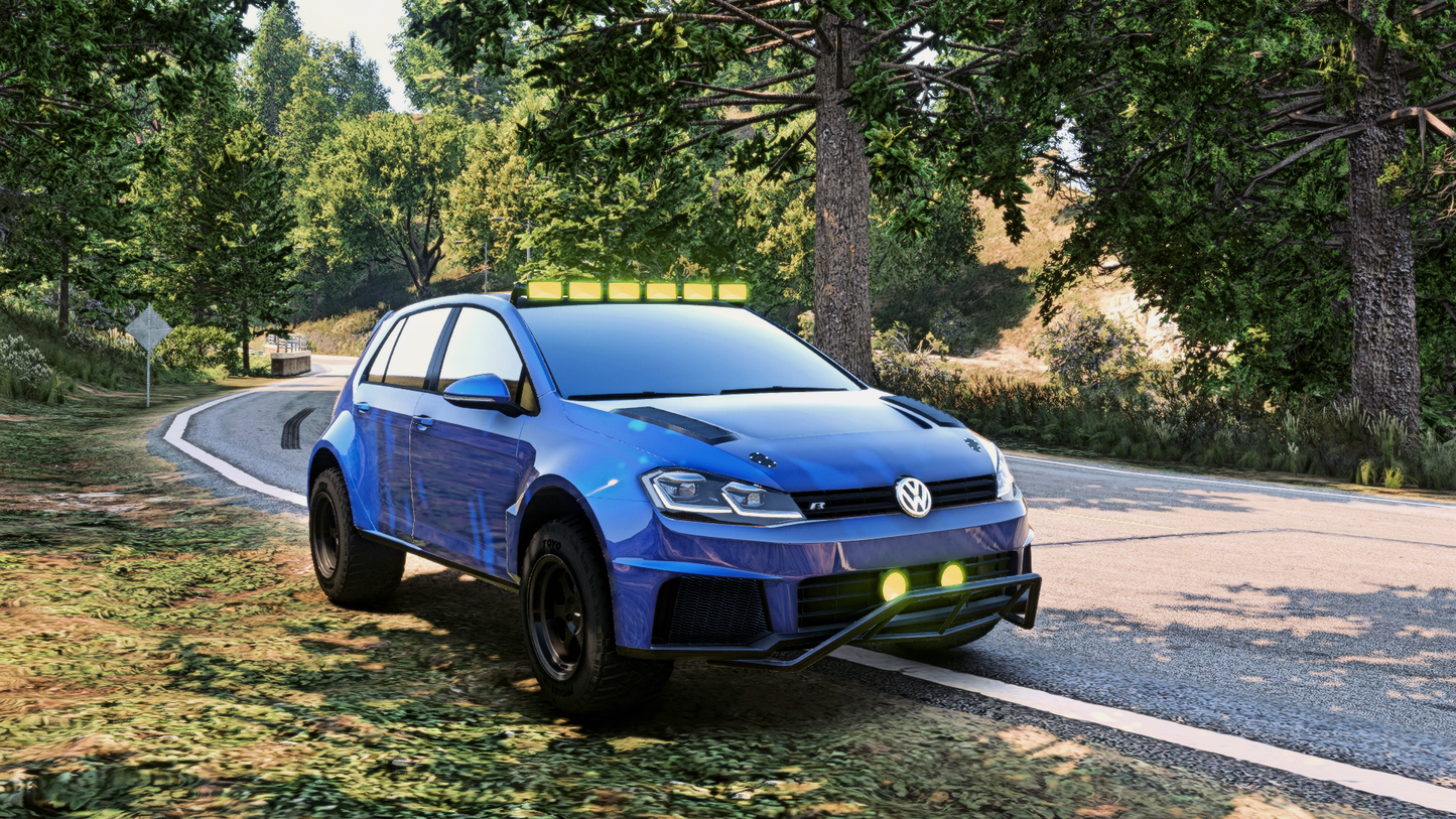 Volkswagen Golf R 4x4 | Hayes