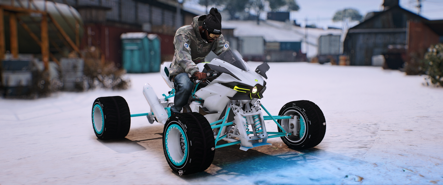 Kawasaki Ninja H2 Quad