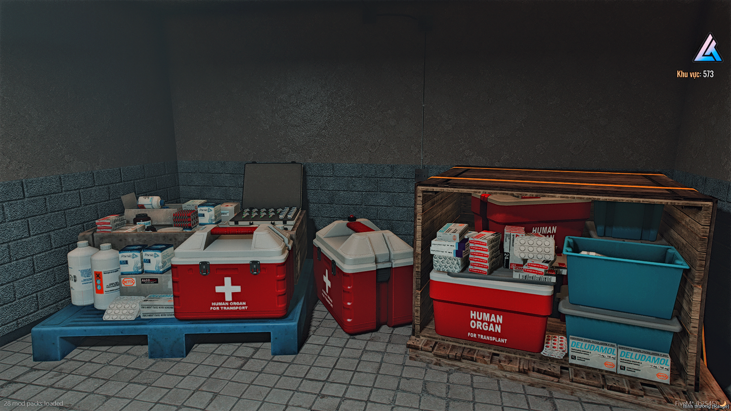 Entrance view of Mirror Park Illegal Hospital interior mod