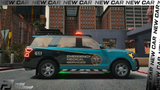 (Lore Friendly) EMS Aleutian