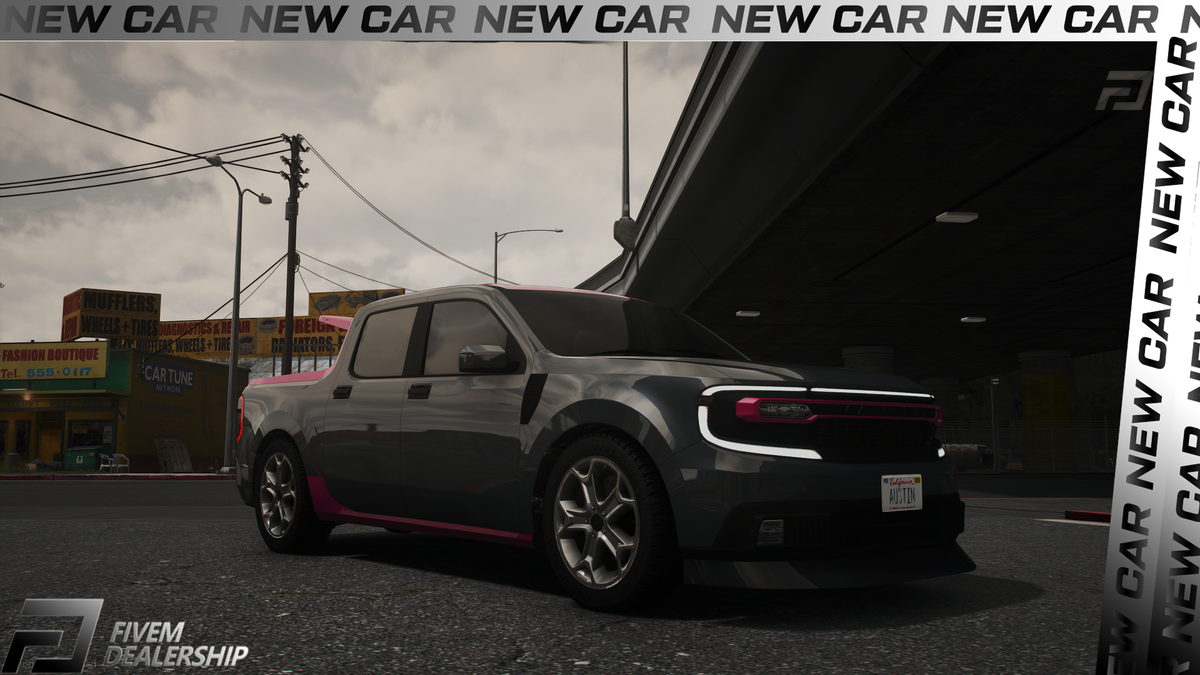 (Lore Friendly) Vapid Custom