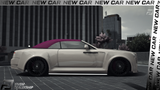 (Lore Friendly) Enus Paragon Luxury
