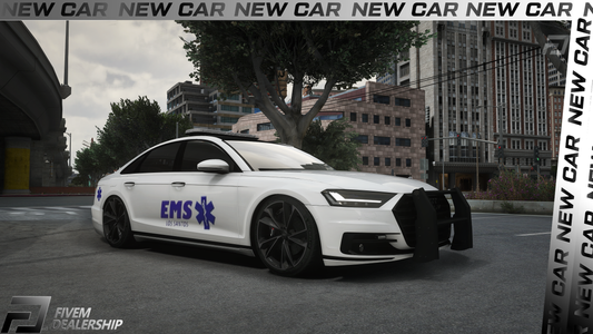 [Non ELS] Audi S8 EMS