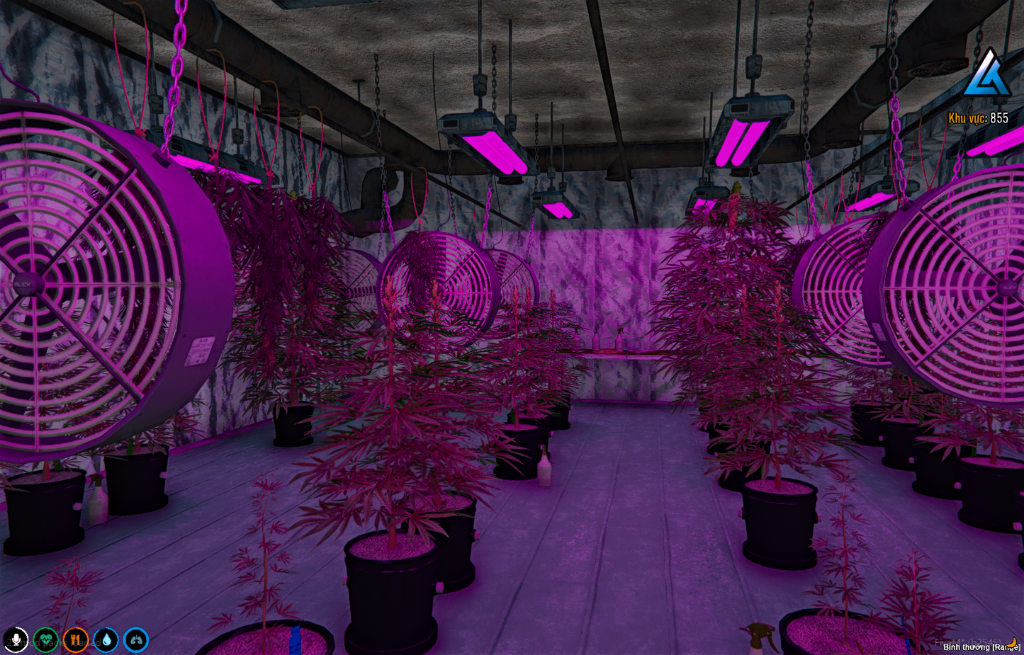 [MLO] Secret underground marijuana plantation