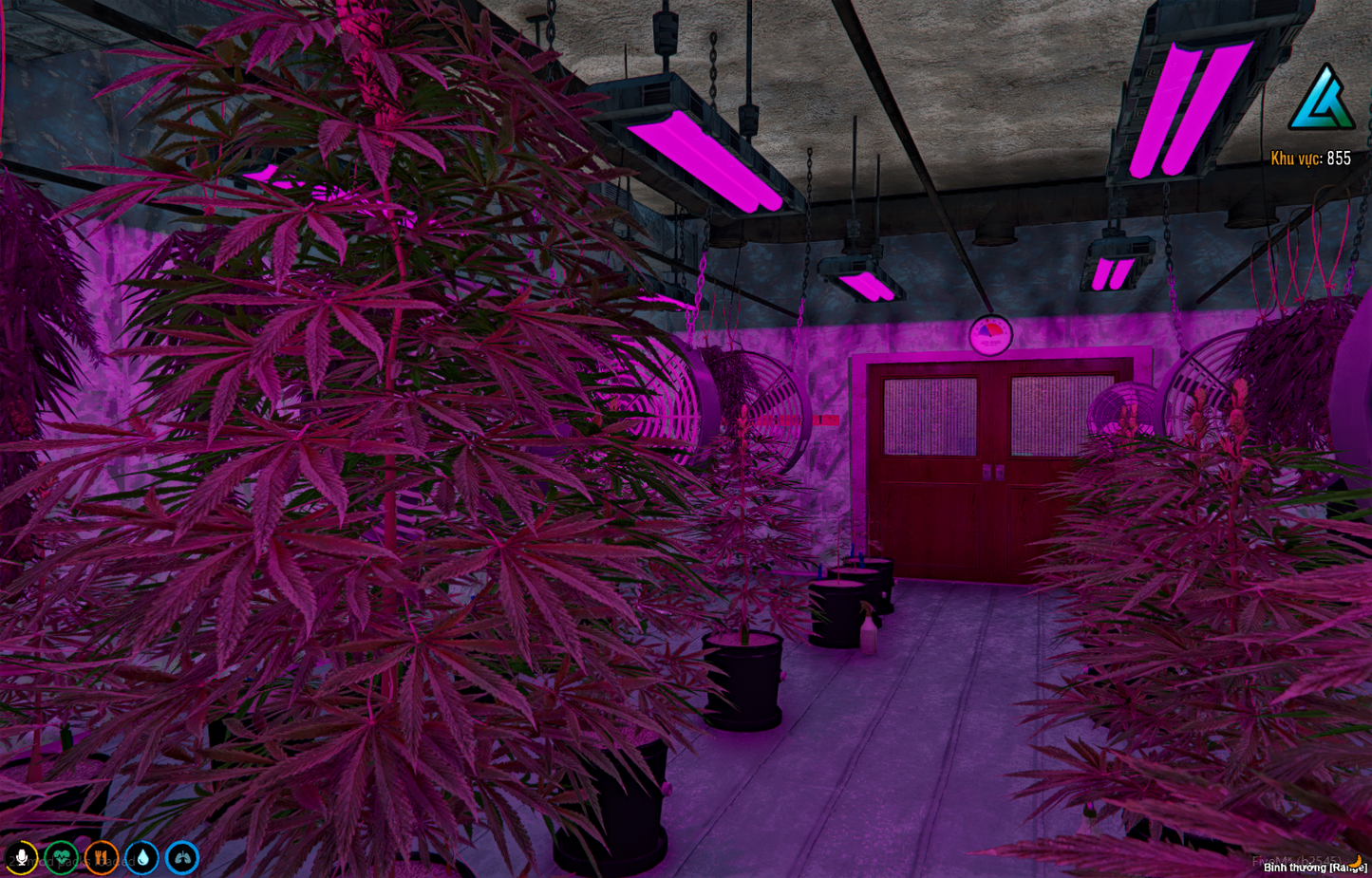 [MLO] Secret underground marijuana plantation