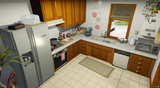 [MLO] Interior Mirror Park House (Pack 2)