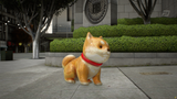(Lore Friendly) Kiba Dog