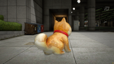 (Lore Friendly) Kiba Dog