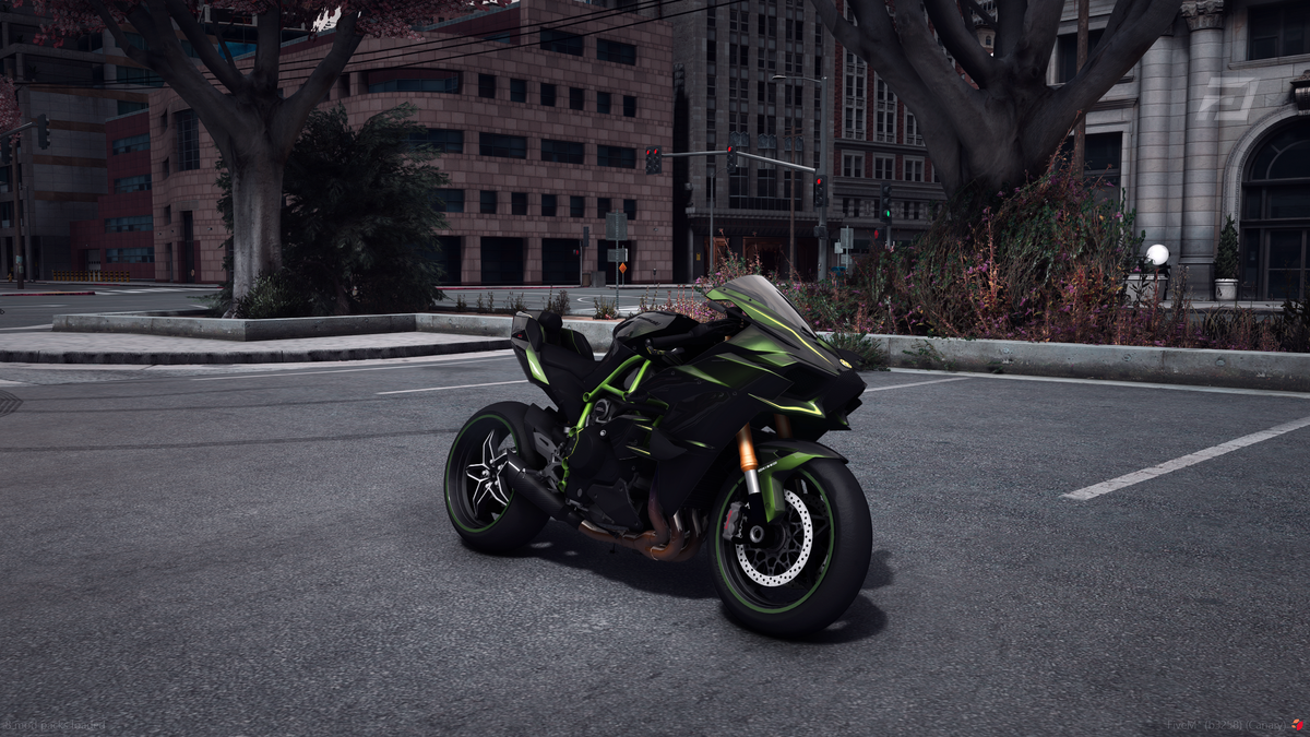 Kawasaki Ninja H2R Custom Kit