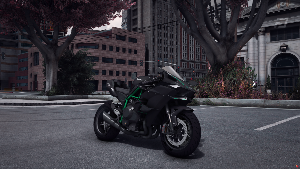 Kawasaki Ninja H2R Custom Carbon