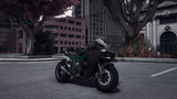 Kawasaki Ninja H2R Custom Carbon