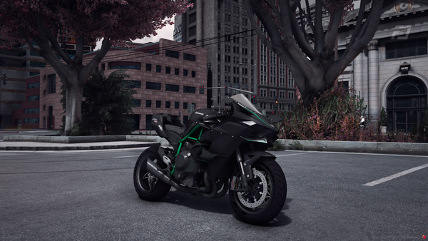 Kawasaki Ninja H2R Custom Carbon
