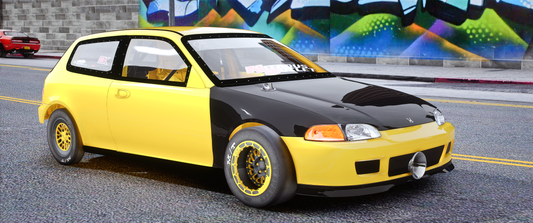 Honda Civic EG6 AMN20