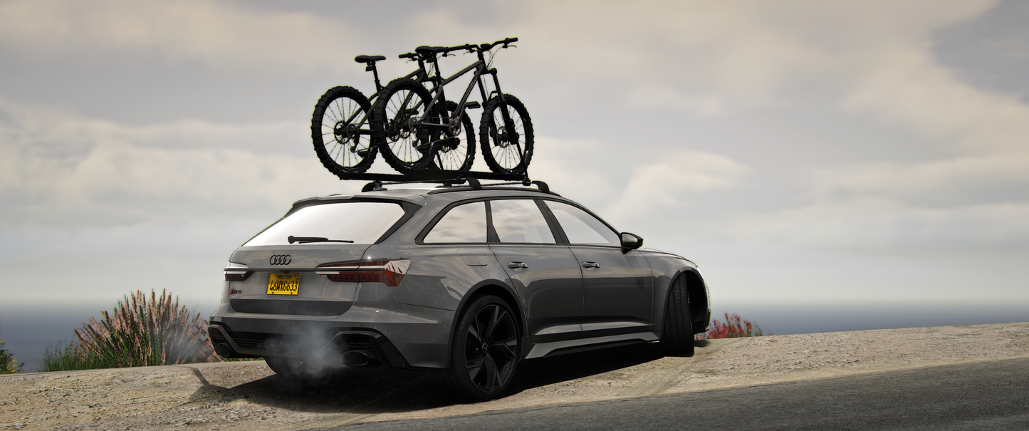 Audi RS6 Performance