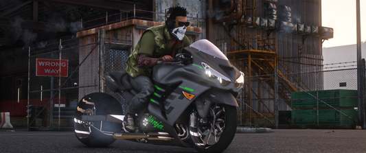 Custom Kawasaki ZX14RR