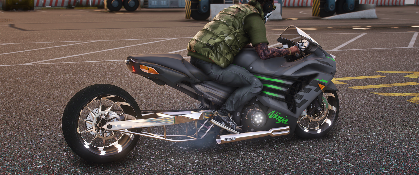 Custom Kawasaki ZX14RR