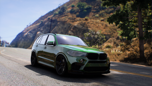 BMW X5 F85 | FB Customs