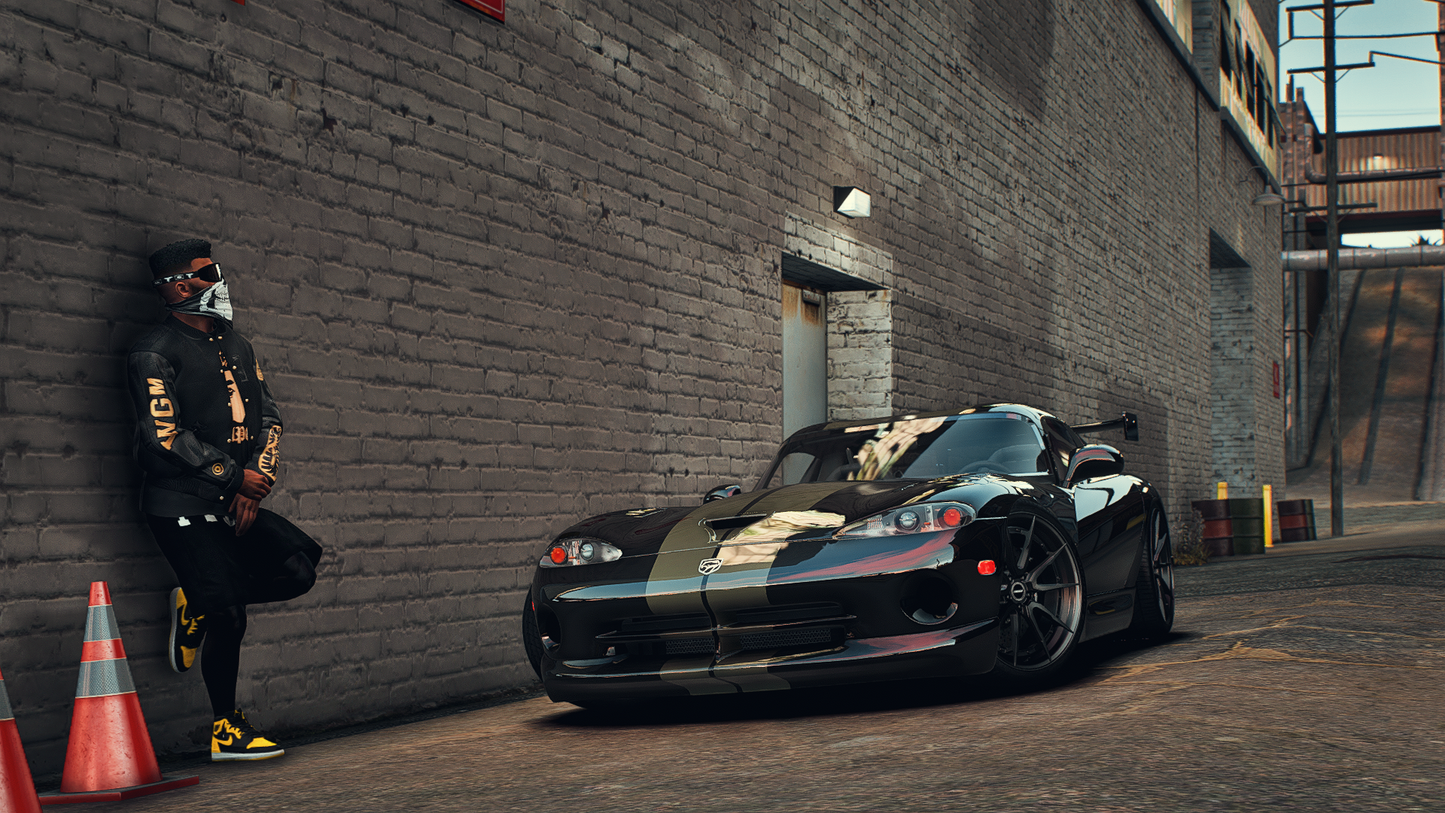 Custom Viper GTS