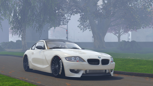 BMW Z4 Custom