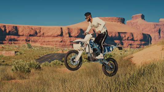 Suzuki RMZ 450