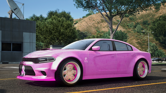 Dodge Cancer Charger